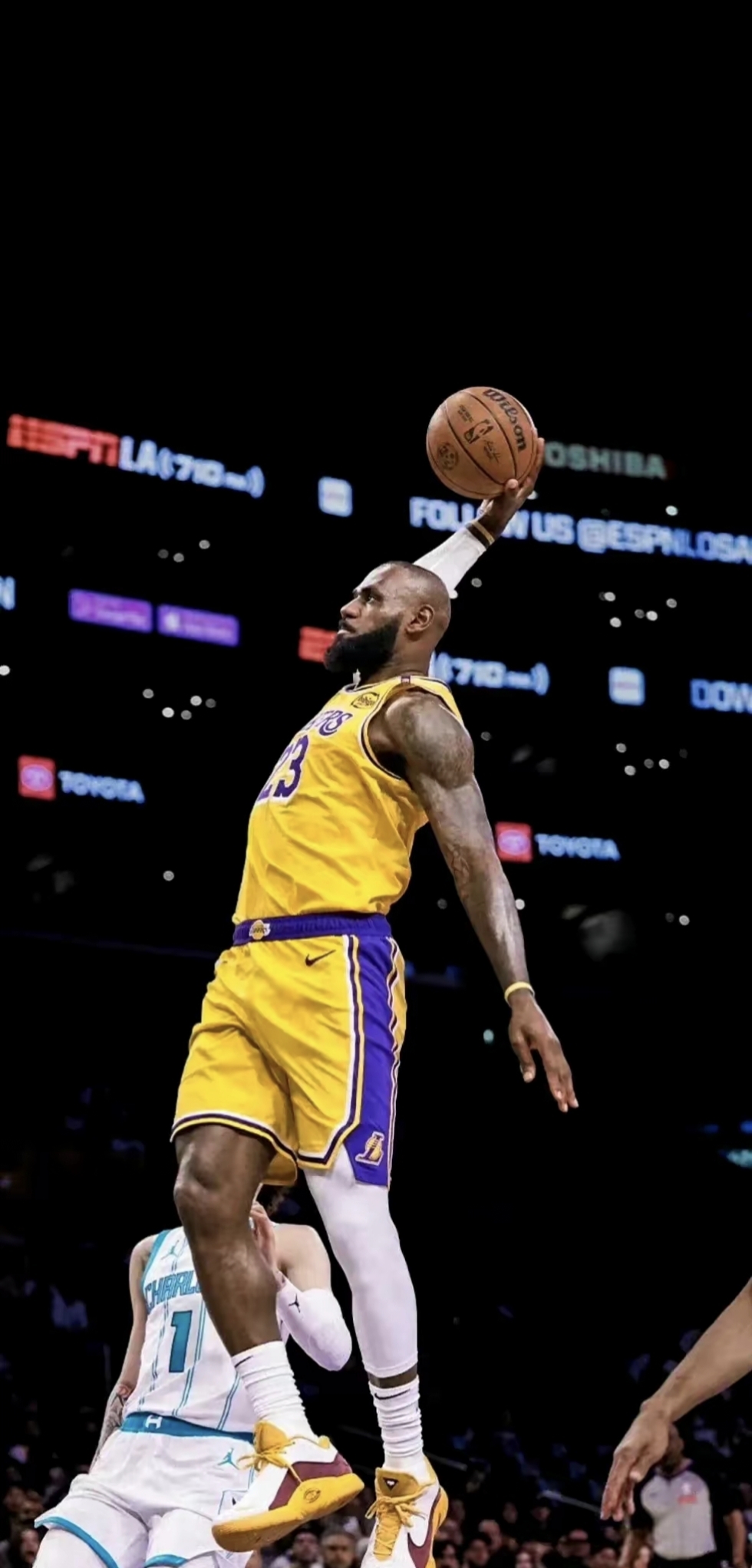 的聚光灯下 的聚光灯下